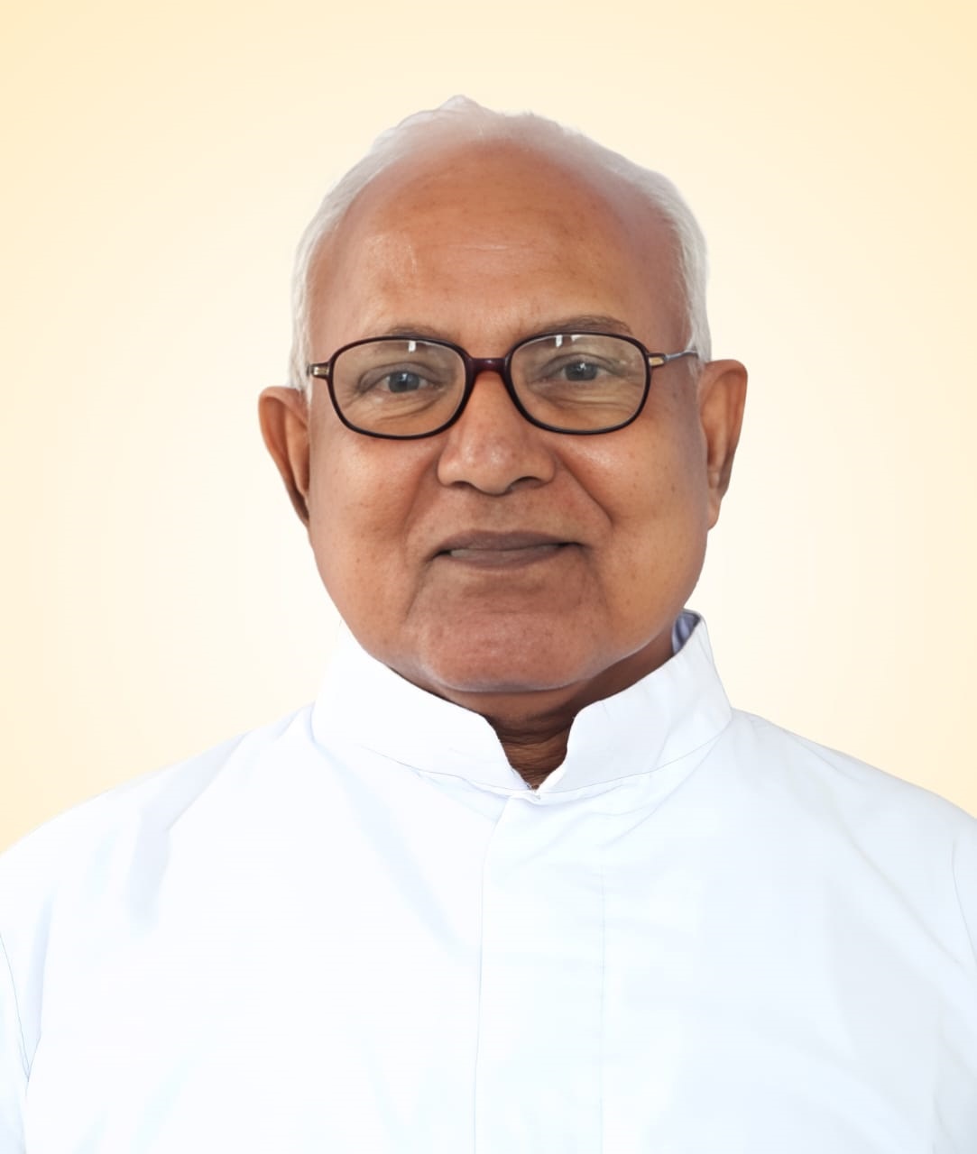Rev. Fr Antony Kelamparambil CMI